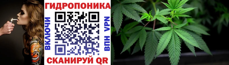 Хочу наркоту Горно-Алтайск Канабис  APVP  Cocaine  Гашиш  АМФЕТАМИН  МДМА  Меф мяу мяу  Галлюциногенные грибы 