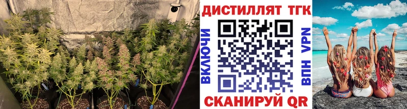 Дистиллят ТГК Wax  хочу наркоту  Горно-Алтайск 