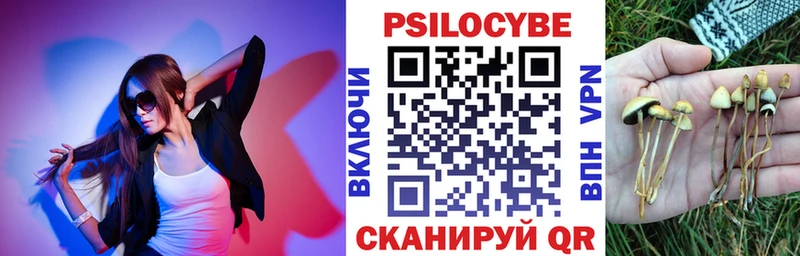 Галлюциногенные грибы Psilocybe  Горно-Алтайск 
